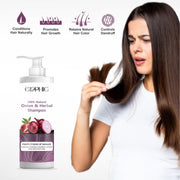 Elephic Onion Hairfall Control Shampoo